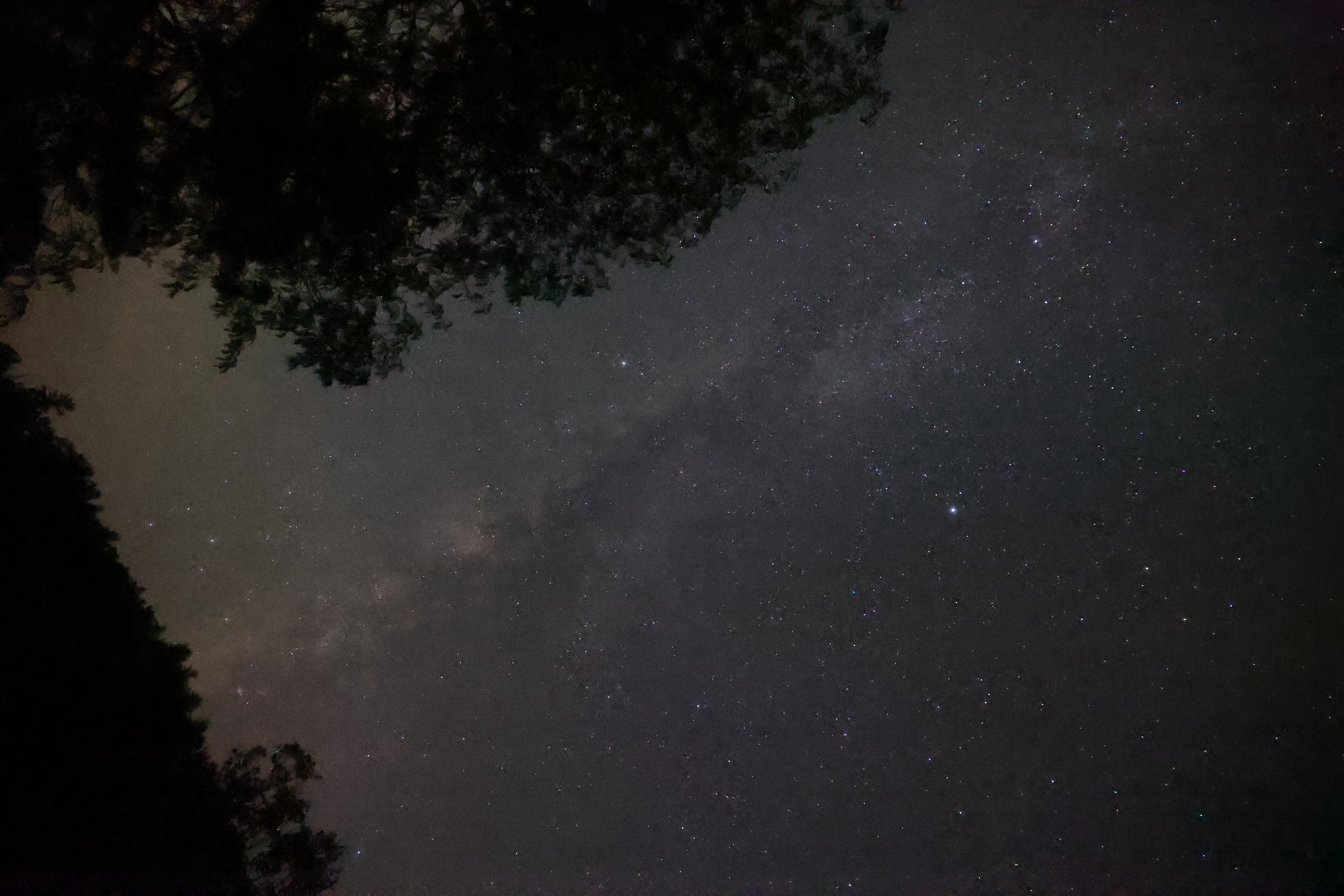 Sample Photo 2